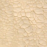 Cosmic Shimmer Crackle Paste - 75ml - Ivory